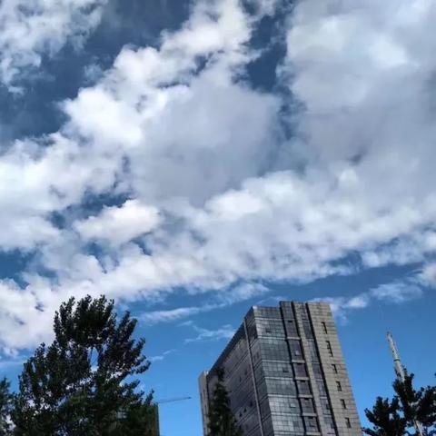 安徽合肥天气预报，一周天气趋势与生活出行指南