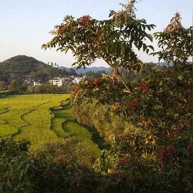 毕节天气预报，洞悉乌蒙山区的天气密码，守护黔西北的四季晴雨
