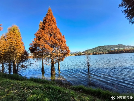 云南天气预报7天，彩云之南的天气密码与旅行指南