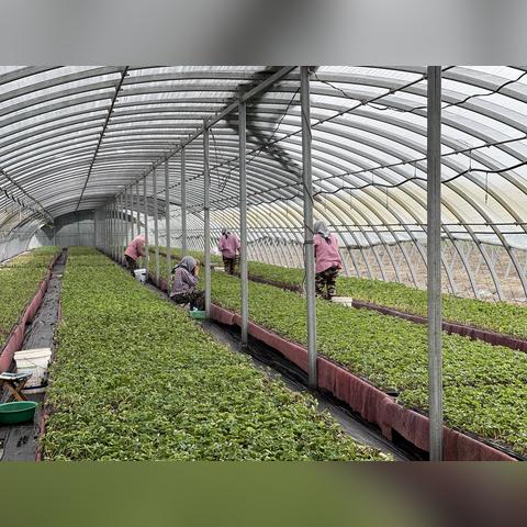 辽宁暴雨最新消息,多地出现内涝,各部门紧急救援 辽宁暴雨最新消息,多地出现内涝,各部门紧急救援