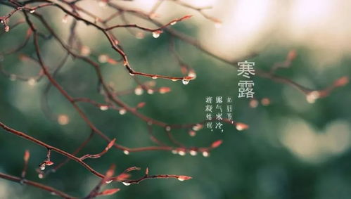 苏州天气预报15天，秋意渐浓，雨丝绵密