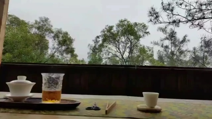 晨起温茶夜听雨,一份天气预报里的生活美学 晨起温茶夜听雨,一份天气预报里的生活美学