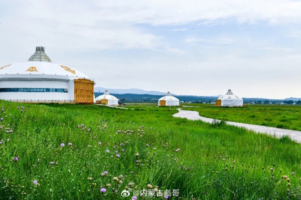 呼和浩特市天气预报，草原青城，天气与生活共舞