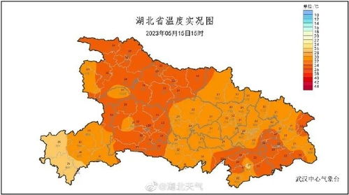 枣阳天气预报，一座小城的冷暖与生活
