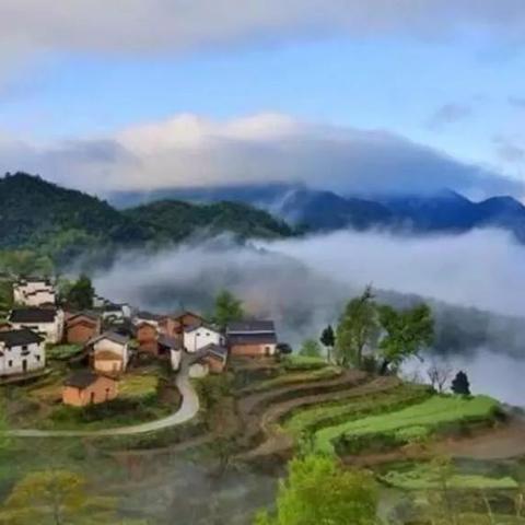 南京十天天气预报，晴雨交替中的城市呼吸